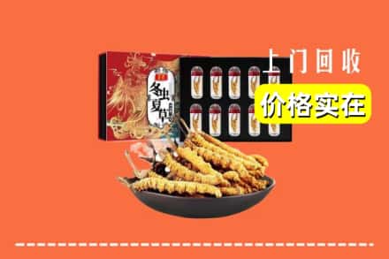 沈丘县回收冬虫夏草